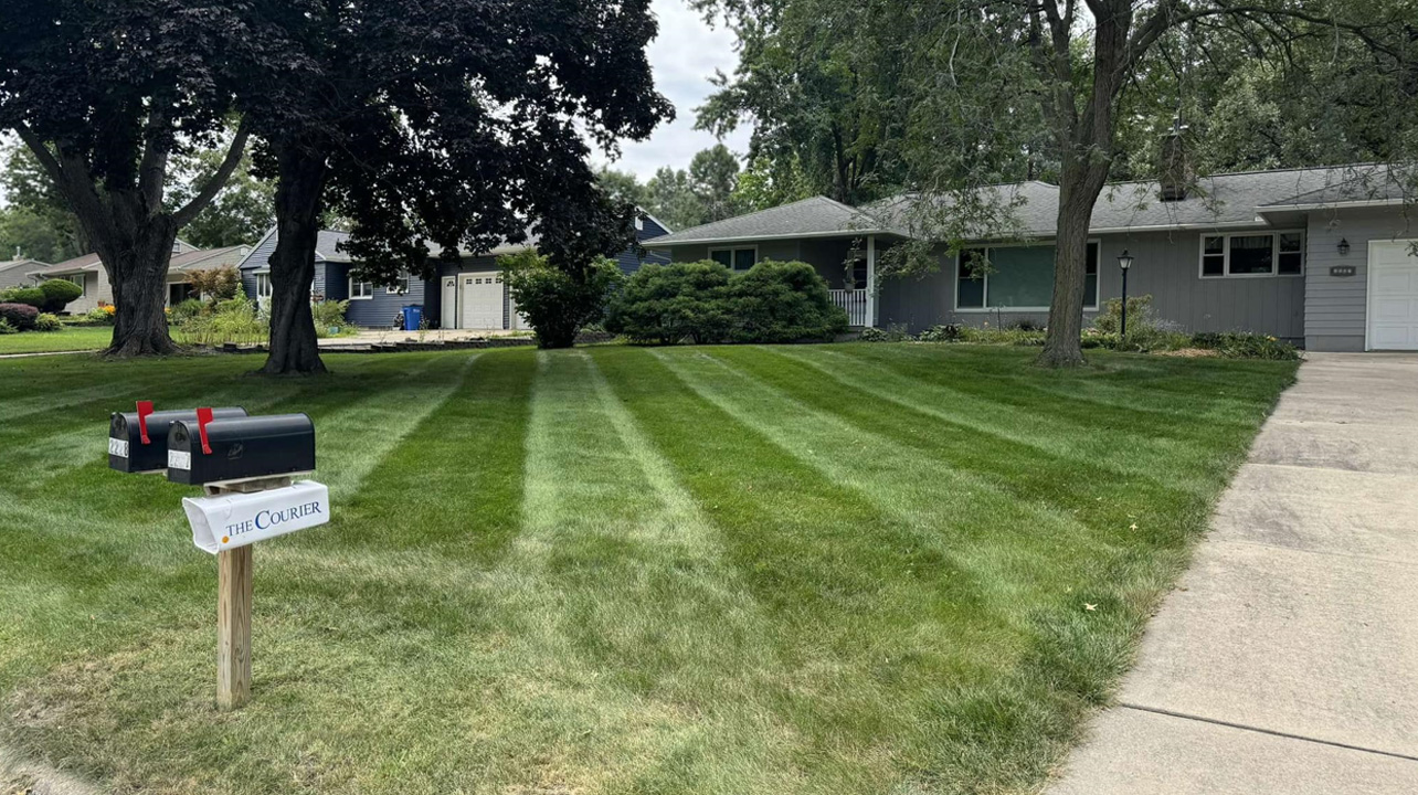 Kolt's Property Maintenance